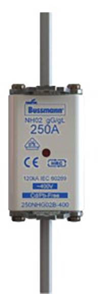 Fuse marked '250A', manufacturer 'Bussmann', model 'NH05C', suitable for 120A in accordance with IEC 60269.