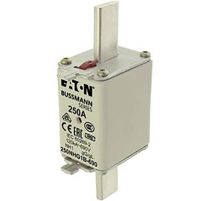 'Eaton Bussmann Series fuse, 250A, CE marked, for applications up to 690V. Metal contacts top and bottom.'