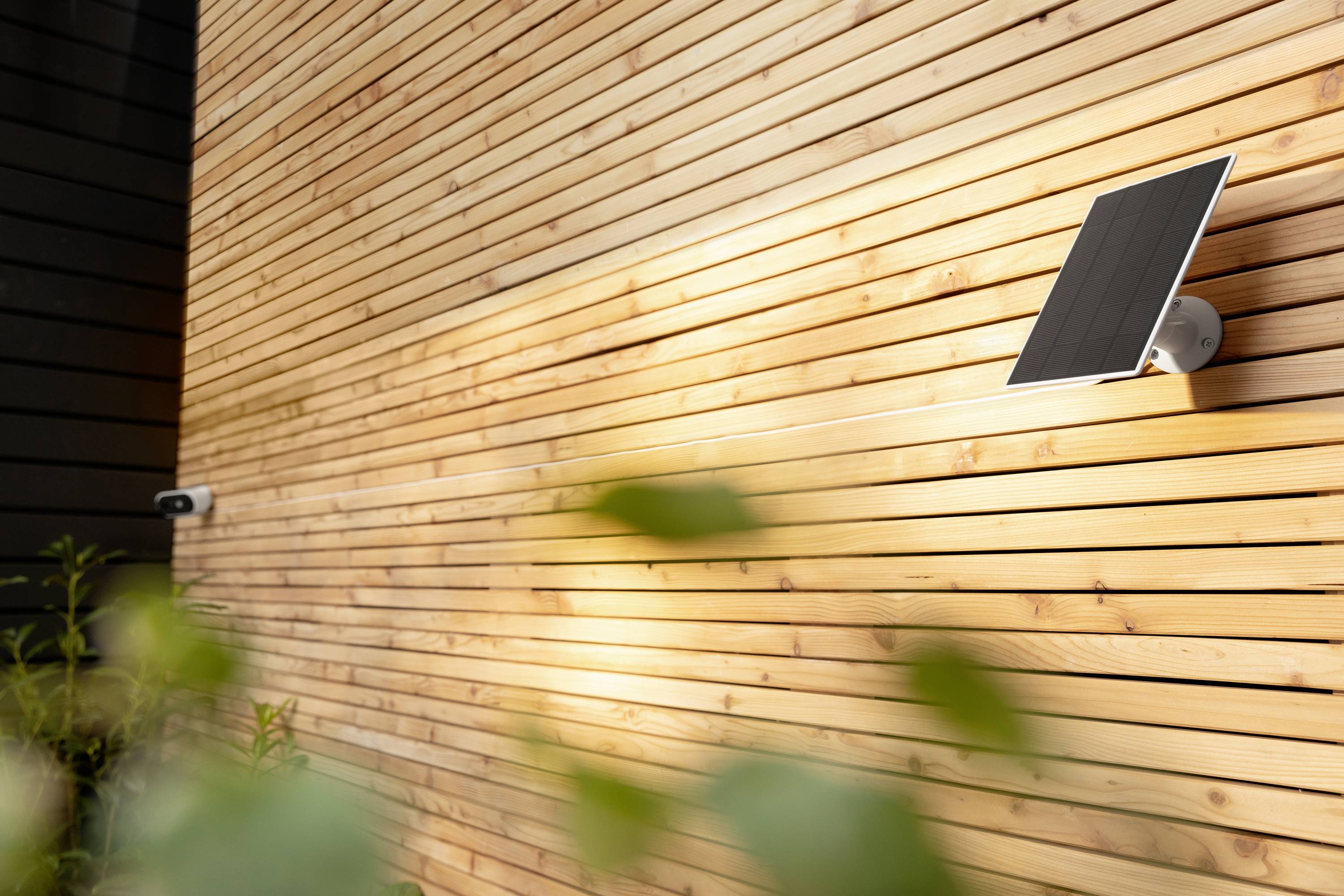 Solar panel on a modern wooden facade, illuminated by sunlight. A camera beside it. Vegetation in the foreground.