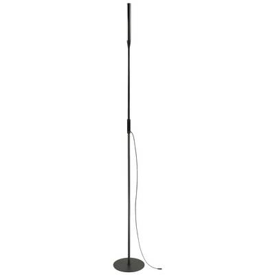 A sleek, black standard lamp with a round base and a long, straight lamp stem, connected by a black cable.