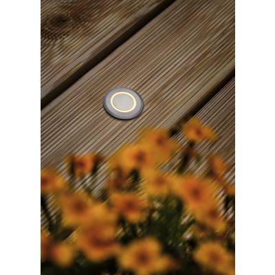 A small round floor lamp is embedded in wooden planks. Blurry yellow flowers are visible in the foreground.