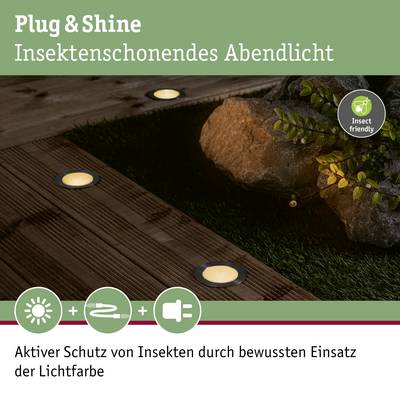 'Plug & Shine Insect-Friendly Evening Light.' Illuminated garden path with integrated LED lighting system, surrounded by plants.
