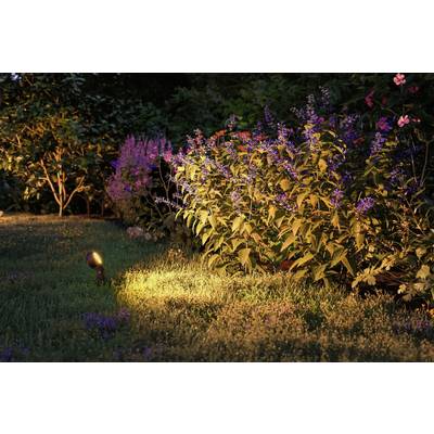 A flourishing flower bed with colourful blooms is illuminated by warm, yellow light at night. Shrubs and trees are visible in the background.