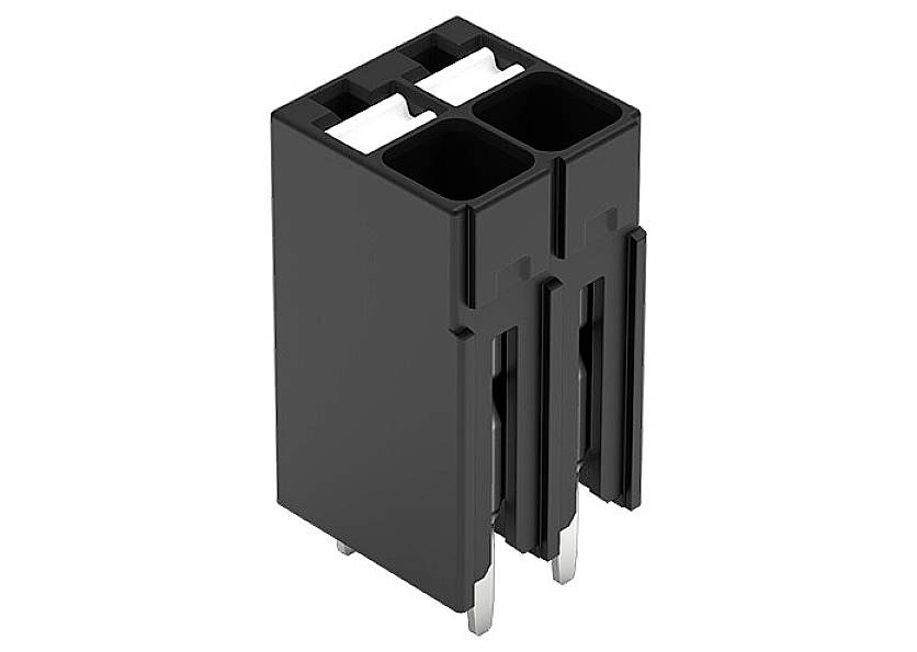 A black, two-pole socket connector with a rectangular shape and four metal pins on the underside for electrical connection.