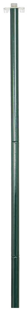 Long, green metal rod, presumably a garden fence post, stands upright.