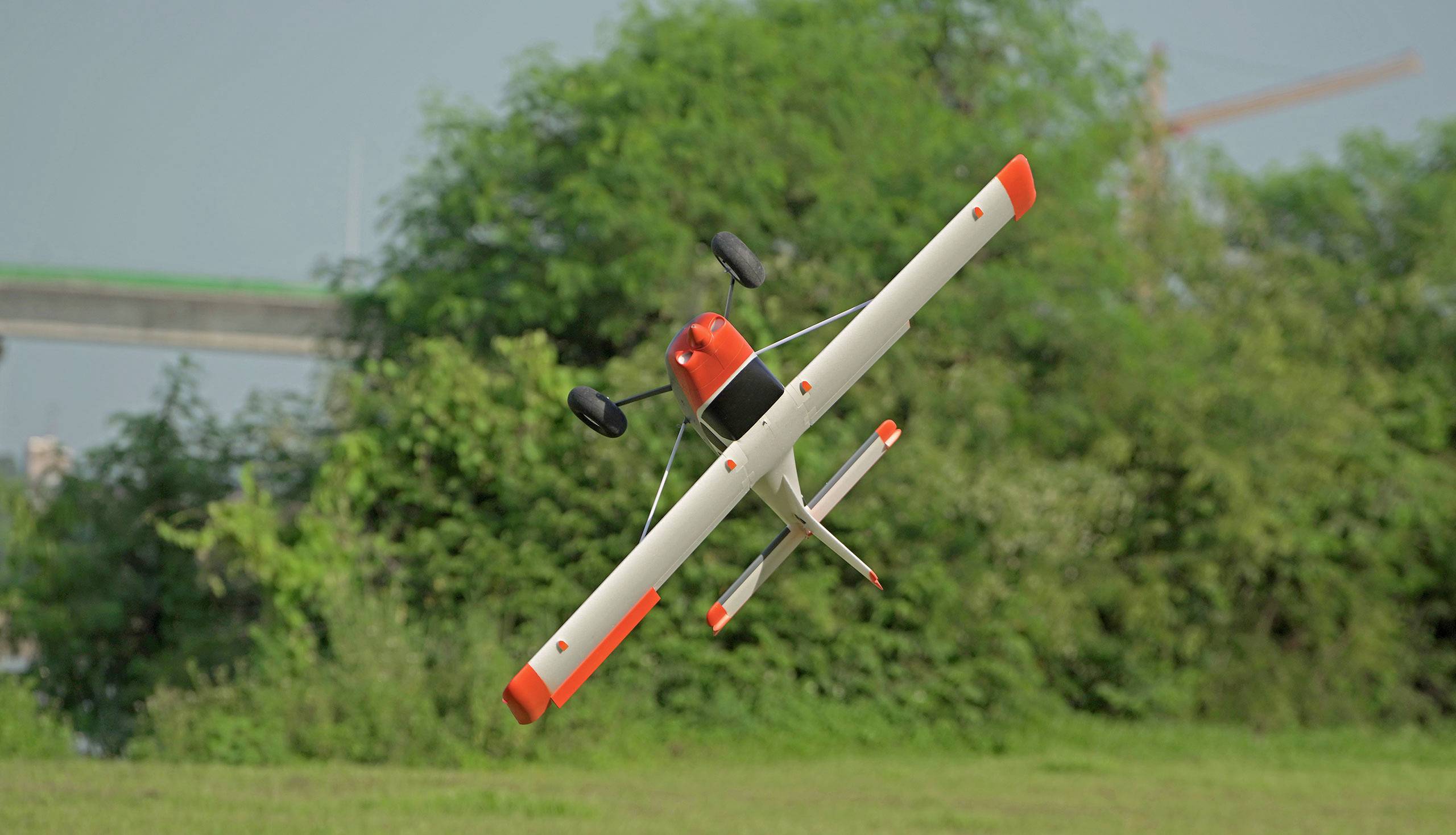 A model aircraft with an orange and white colour scheme is flying near a green area while executing a turn.