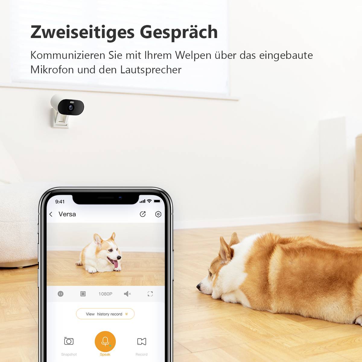 A smartphone displays a video calling app with a dog lying in front of a camera on the living room floor. Text: 'Two-way Conversation'.