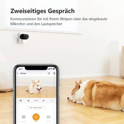 A smartphone displays a video calling app with a dog lying in front of a camera on the living room floor. Text: 'Two-way Conversation'.
