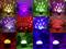 A LED light projector displays various colourful light effects on walls, with star patterns in red, green and blue surrounded by plants.