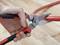 A hand holds secateurs cutting through a red cable. The blade is sharp and firmly closed around the cable.