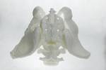 Polymaker filament PolyMax tough PLA