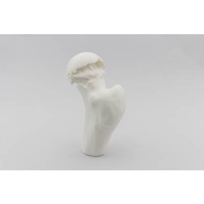 A white 3D model of a femur against a neutral background, showing the natural shape and structure of the bone.