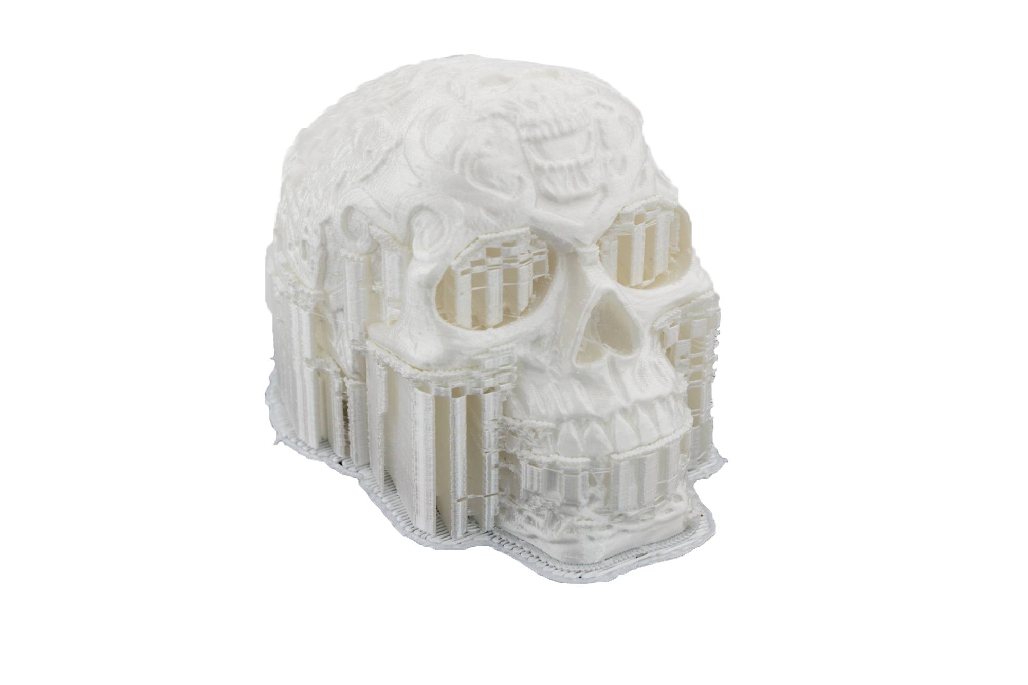 3D-printed skull with intricate structures and delicate patterns, white, on a neutral background.
