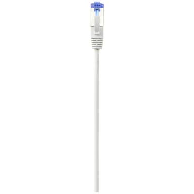 A white Ethernet network cable with a blue plastic cover on the connector, used for connecting to computer networks.