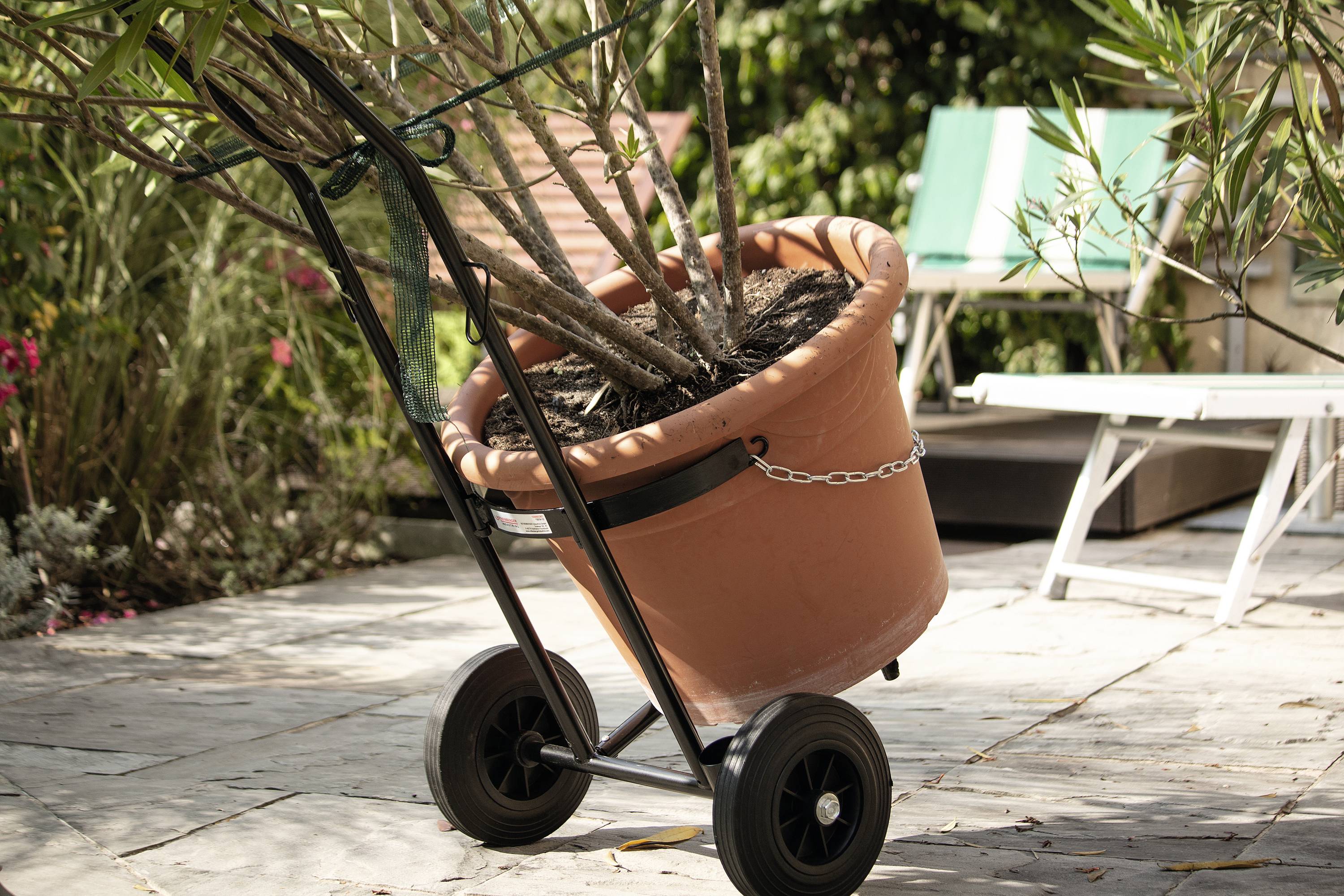 A large plant pot sits on a hand trolley on a terrace beside garden chairs. Green plants are visible in the background.
