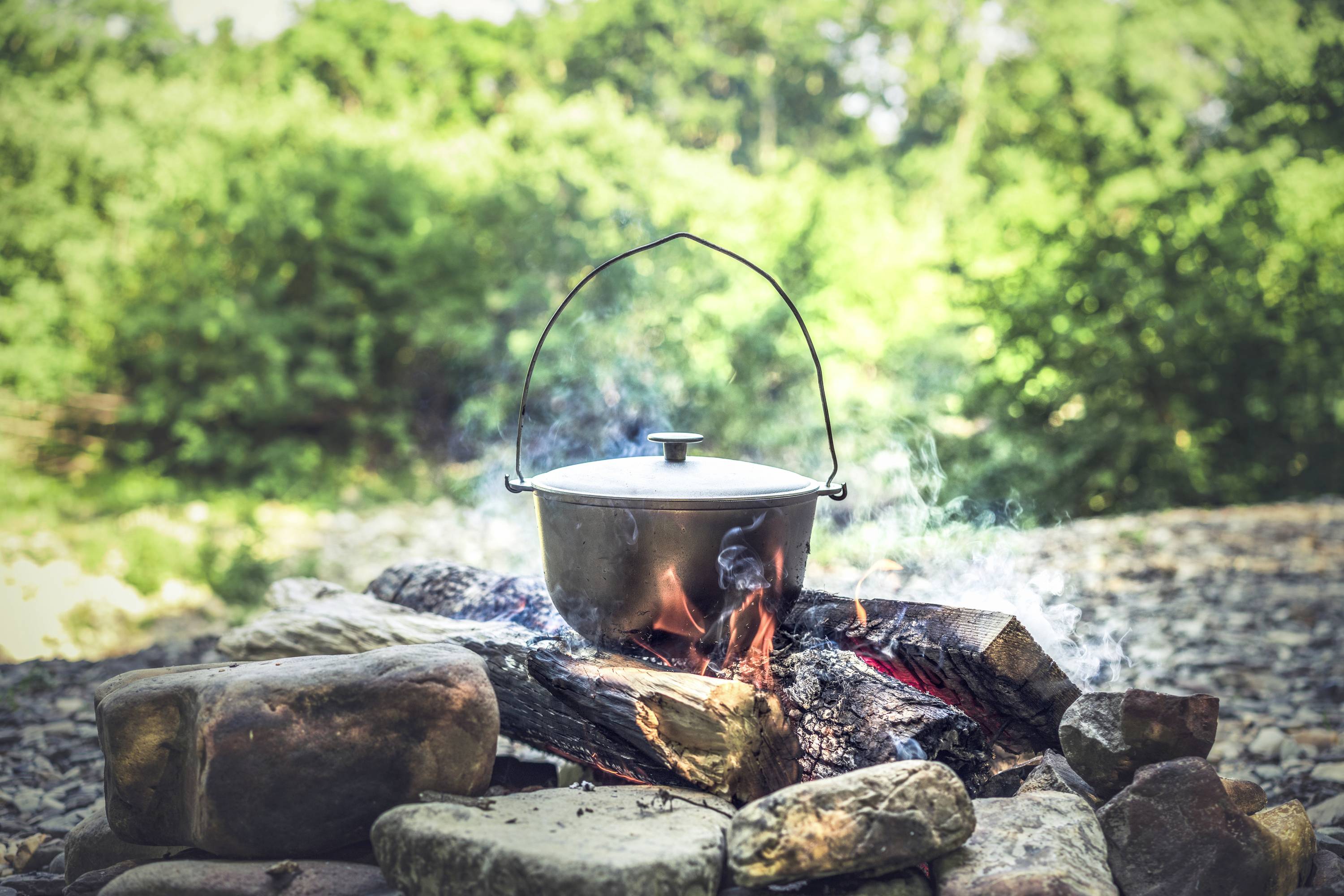 A large pot hangs over a stone campfire outdoors. A green woodland landscape is visible in the background.
