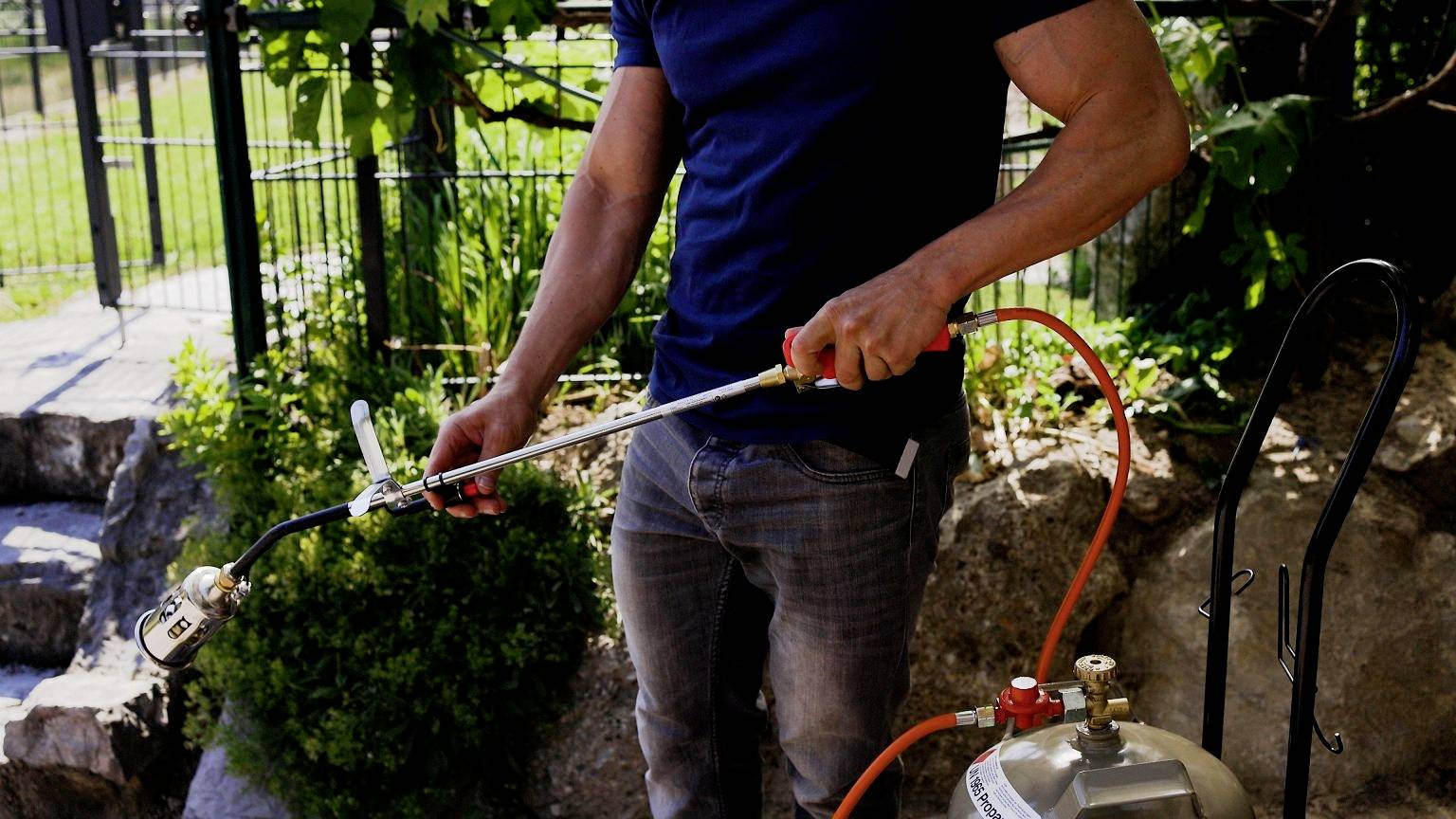 A person in a garden is holding a blowtorch with an attached propane tank. They are preparing to burn weeds.