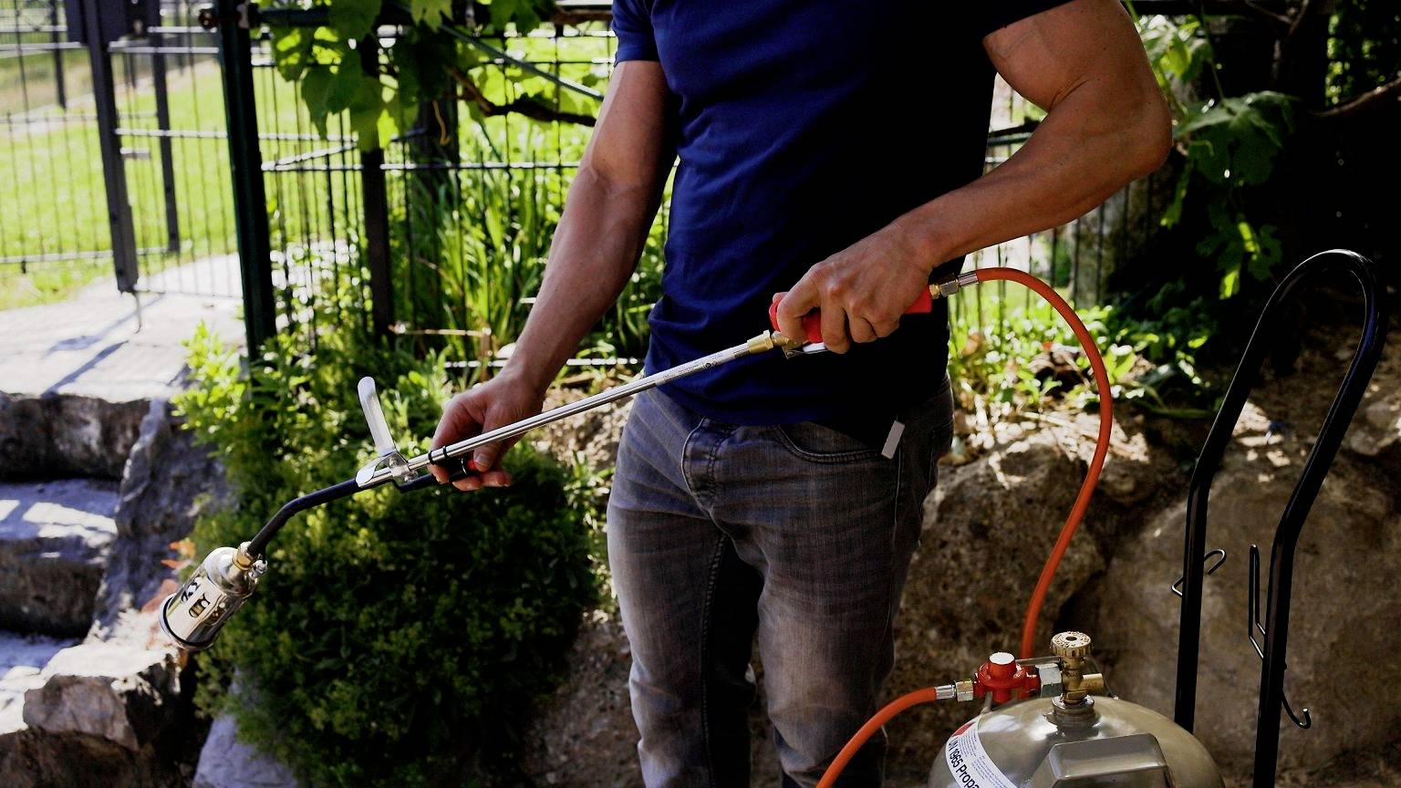 A man is holding a weed burner with a gas canister in the garden. He is standing on a path next to green plants and a fence.