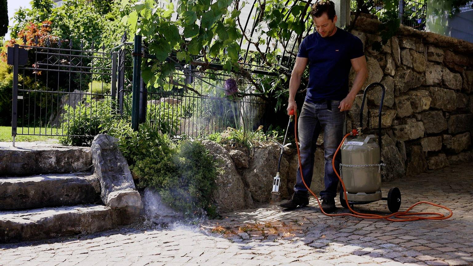 A man is using a weed burner to burn weeds on a paved path in a garden.