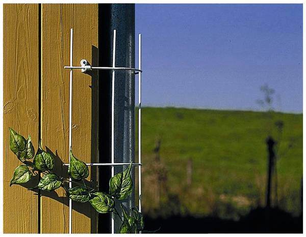 Siena Garden 678217 Drop-pipe spoiler Brown  1 pc(s)