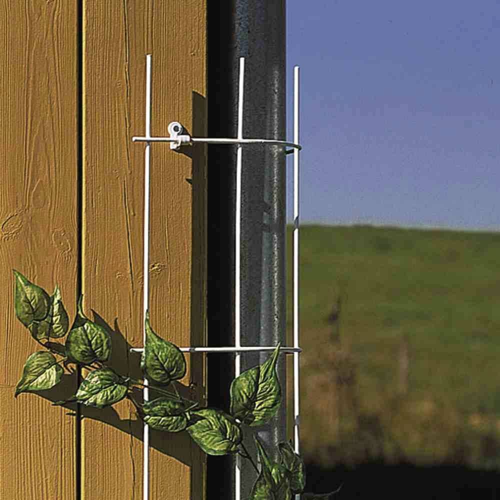 A section of wooden wall with a metal trellis, upon which a green plant is climbing. In the background, blue sky and meadow.