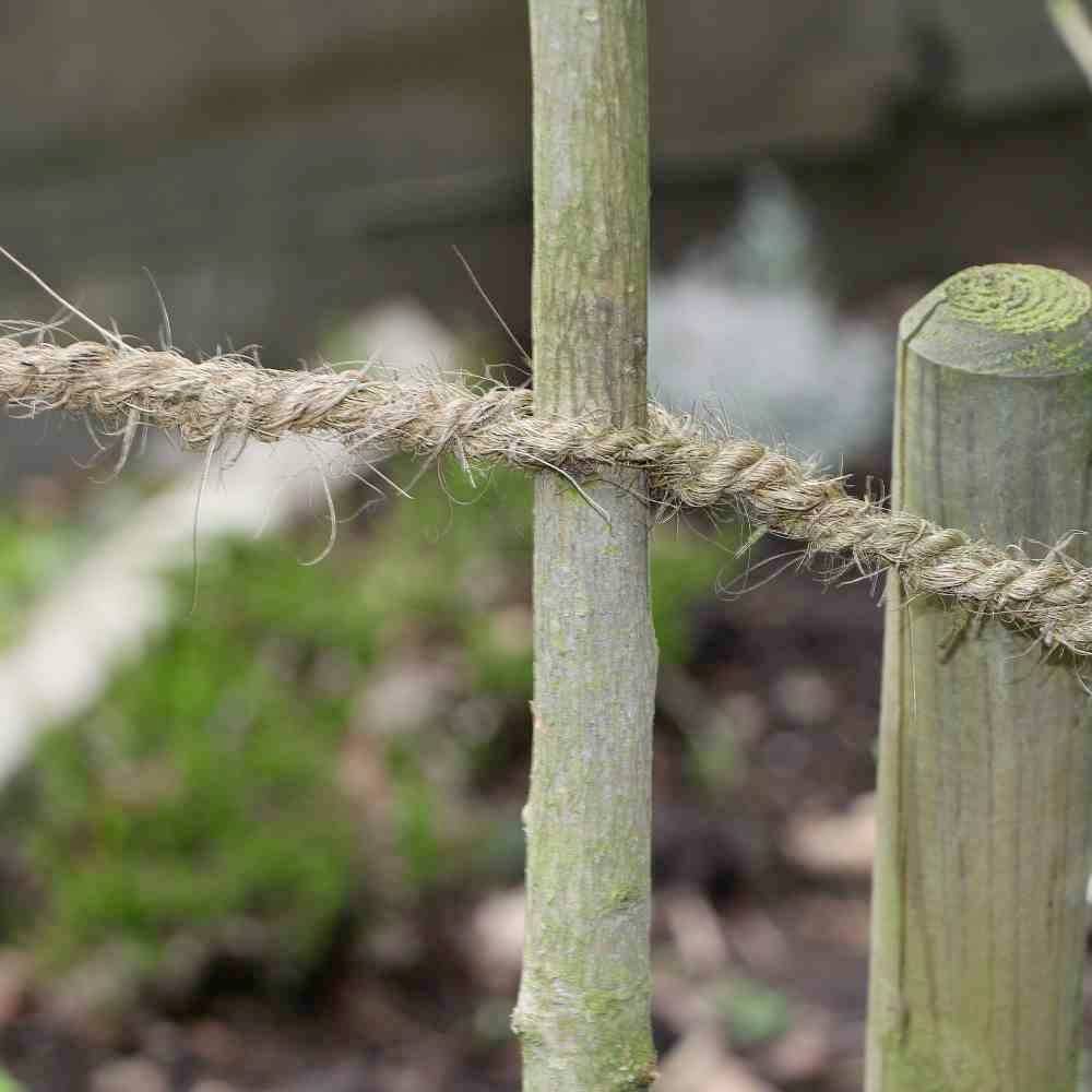 A thick, rough rope is stretched between two wooden posts. It appears to be part of a simple fence or boundary. Green space is visible in the background.