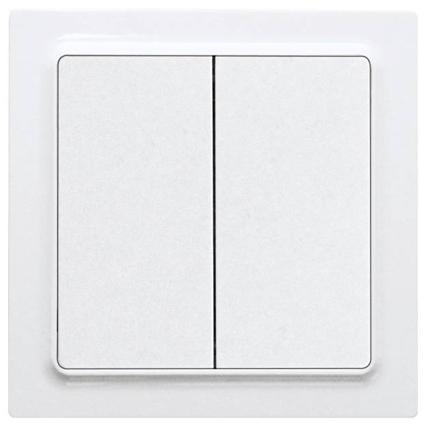 A double light switch in a white cover plate.