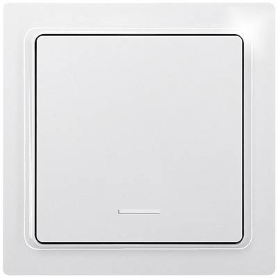 A single light switch in white, rectangular, with a slightly raised switch button, surrounded by a narrow frame.