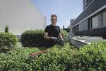 HS 18 LTX BL 65 battery-operated hedge trimmer