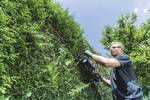 HS 18 LTX BL 65 battery-operated hedge trimmer