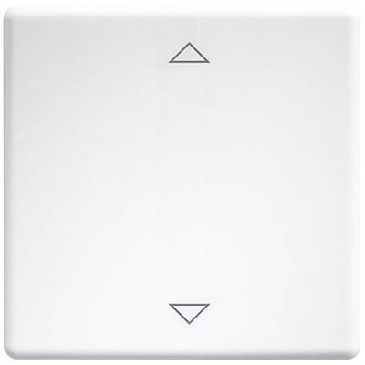 White light switch with two triangular buttons for up and down control.