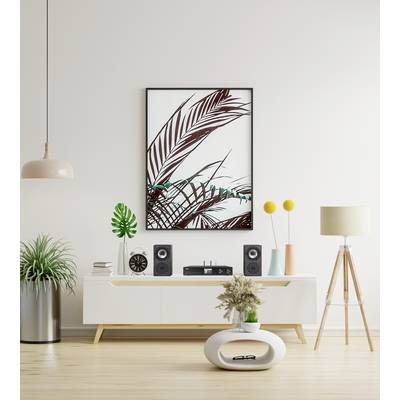 Modern living room with minimalist decoration: White chest of drawers, plants, speakers and a picture with a palm motif on the wall.