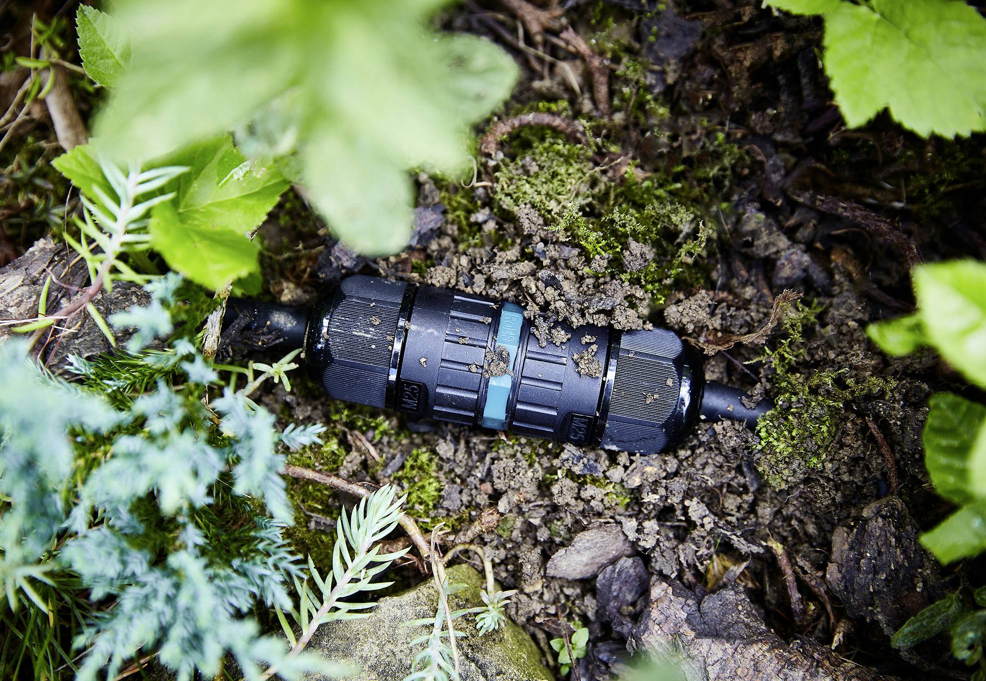 A watering connection lies on soil between green leaves and plants. It appears to be part of a garden system.