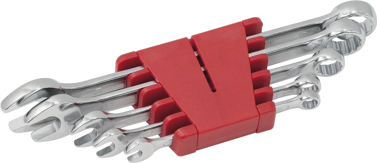 Six-piece set of ring spanners in various sizes, arranged in a red plastic holder.