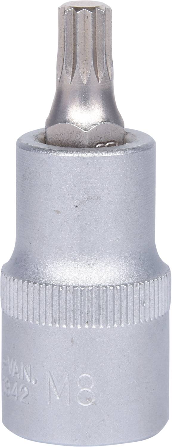A silver, cylindrical tool that serves as a Torx bit in a metal housing, with 'M8' inscribed on it.