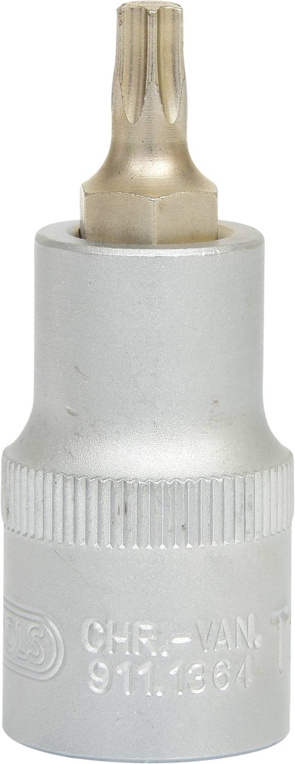 'Silver screw cap with a cylindrical base and star-shaped head. Suitable for Torx screws.'