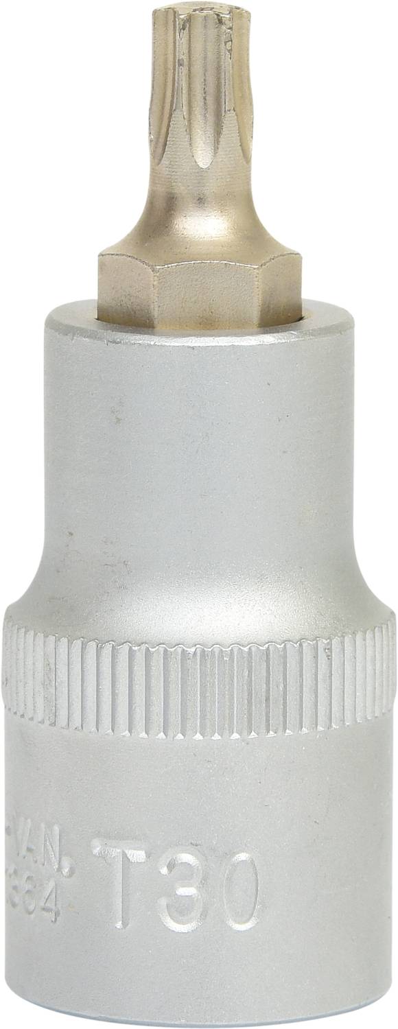 'Screwdriver with silver bit attachment, T30 Torx screwdriver.'