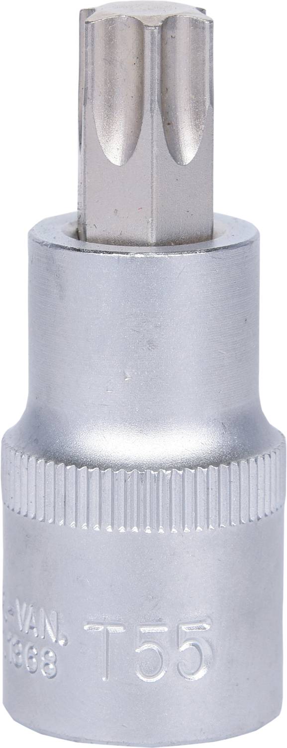 Metallic Torx bit T55, silver-coloured, with hexagonal shank and embossed 'T55'.