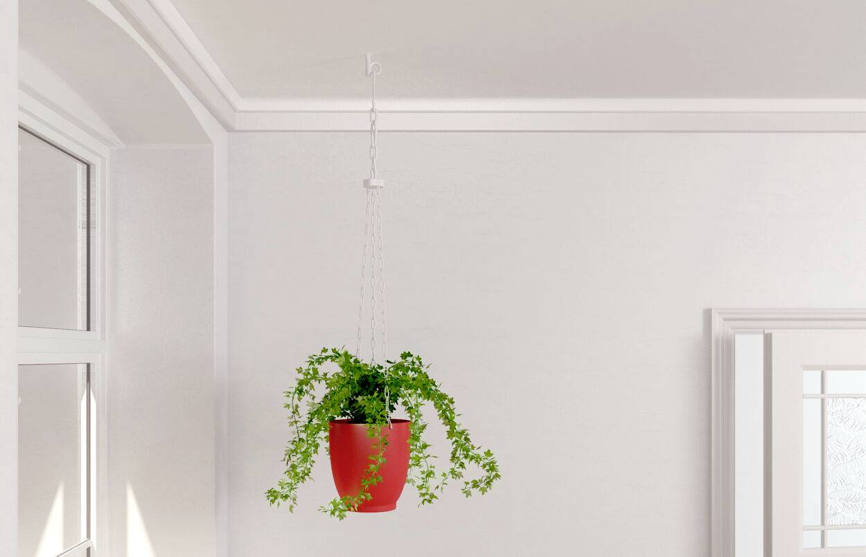 A hanging plant in a red pot, in a bright room with white walls and windows allowing natural light to enter.
