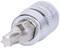 A silver Torx screwdriver bit, slightly angled, with a visible T30 size marking on the tip.