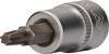 Brilliant Tools BT021942 BT021942 TX Socket bit 3/8" TX 25 3/8" (10 mm)