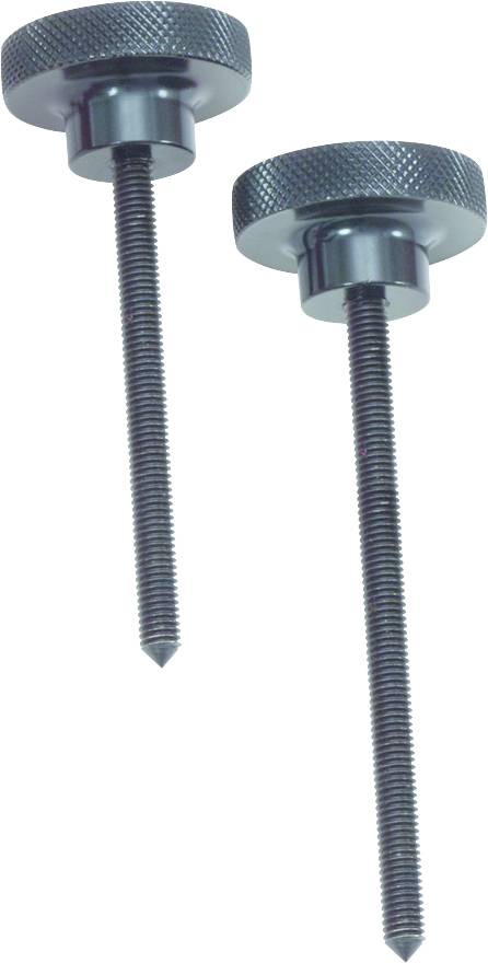 Two metal screws with knurled heads, one longer than the other, standing upright on a light background.