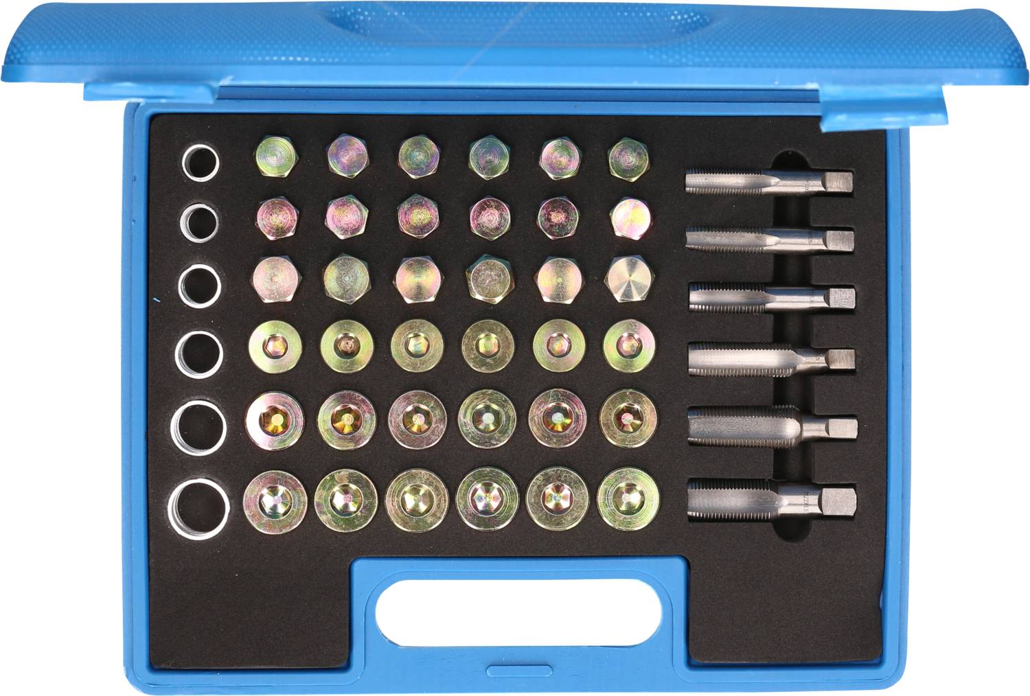 'Set of screws and inserts in a blue case, neatly arranged in rows. The case has a grip opening.'