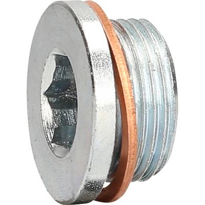 Metal screw with hexagonal opening and copper seal, shown from the side.