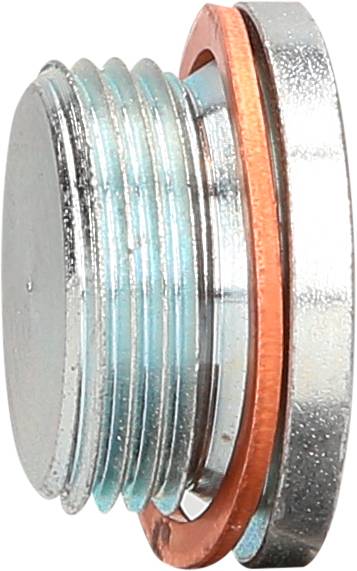 Metal screw with a seal, viewed from the side. It has a ribbed design and a round, flat top surface.