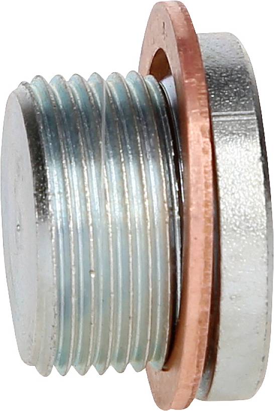 Metal screw with integrated sealing ring, side view, showing thread and seal.