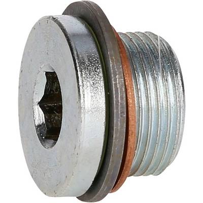 Metal hexagon head screw with sealing washers, for sealing in mechanical applications.