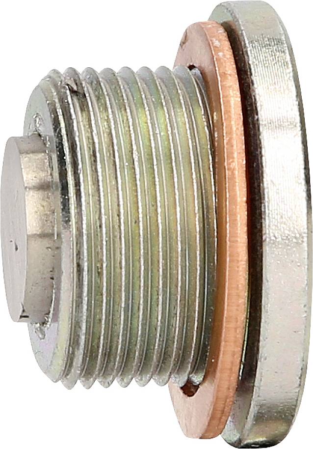 Silver-coloured, round metal screw with threading and copper washer. Used for sealing in mechanical or hydraulic systems.