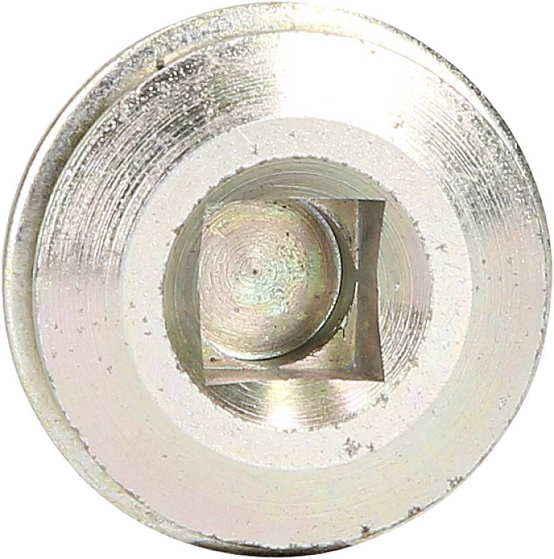 Metal screw with a square recess in the centre, silver-coloured.