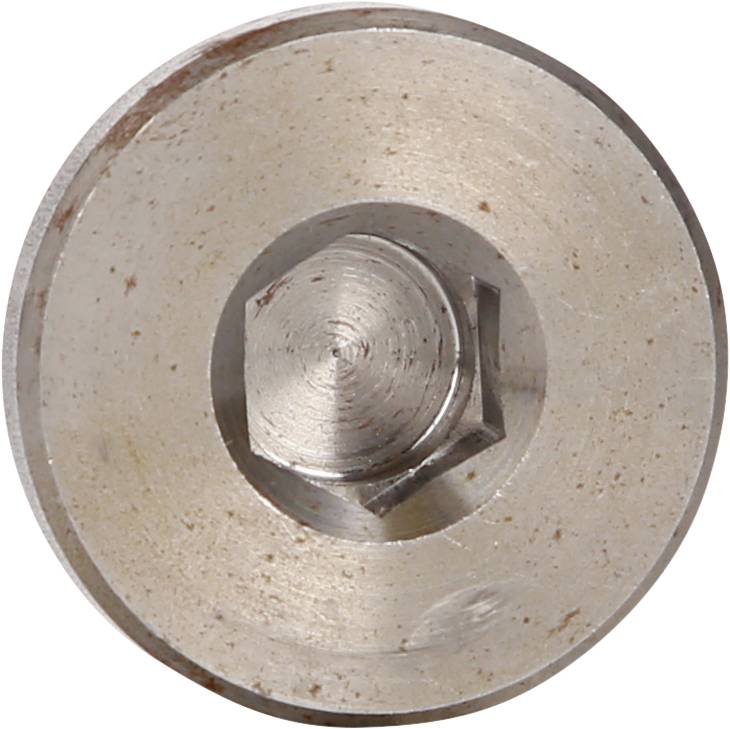 Round metal disc with a central, hexagonal recess that accommodates a screw. Surface shows slight signs of wear.